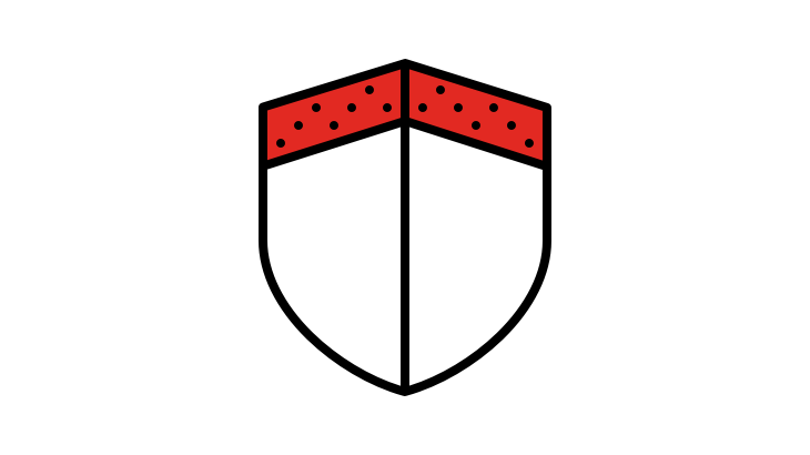 Shield icon